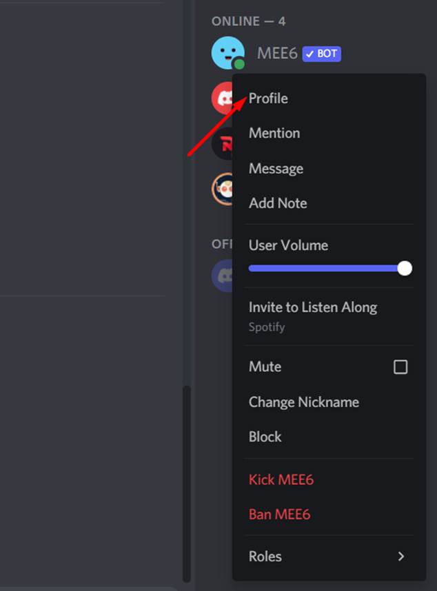 selecting-Discord-user-Profile